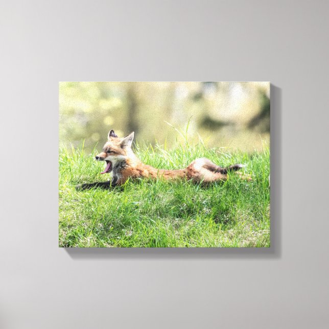 Red Fox Kit Leinwanddruck (Vorderseite)