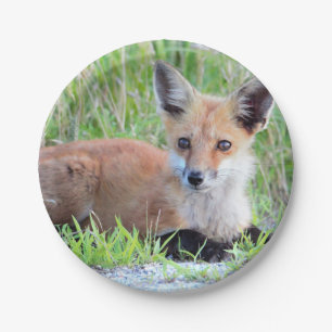 Red Fox Kit Pappteller