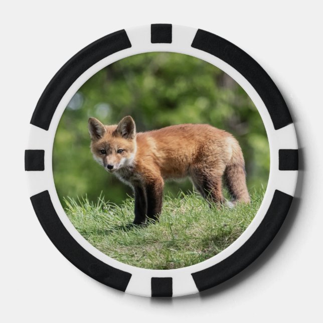 Red Fox Kit Pokerchips (Vorderseite)