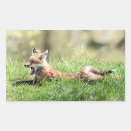 Red Fox Kit Rechteckiger Aufkleber