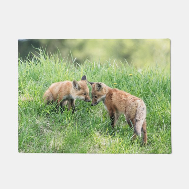 Red Fox Kits Fußmatte (Vorderseite)