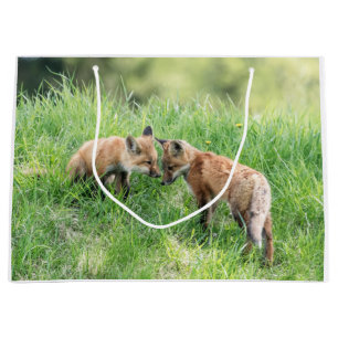 Red Fox Kits Große Geschenktüte