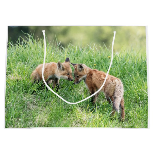 Red Fox Kits Große Geschenktüte (Vorderseite)