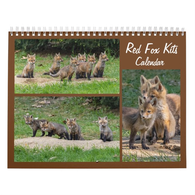 Red Fox Kits Kalender (Titelbild)