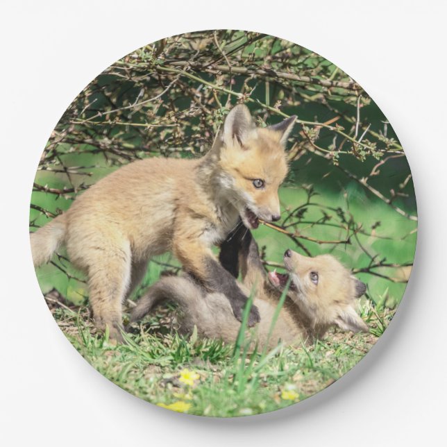 Red Fox Kits Playing Pappteller (Vorderseite)