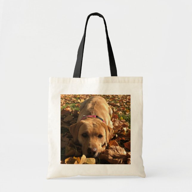 Red Fox Labrador - Budget Shopping Tote Bag Tragetasche (Vorne)
