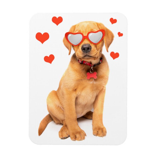 Red Fox Labrador Puppy-Liebe Magnet (Vertikal)