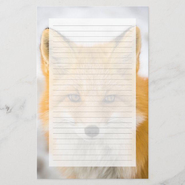 Red Fox Portrait Briefpapier (Vorderseite)