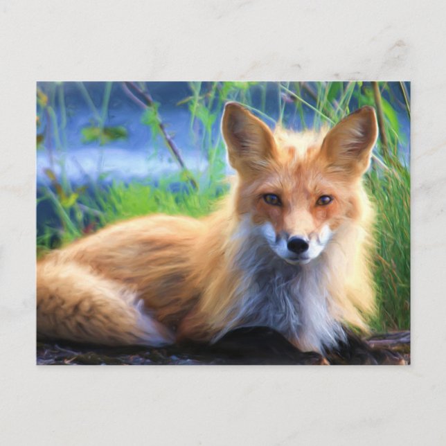 Red Fox Postkarte (Vorderseite)