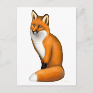 Red Fox Postkarte