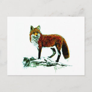 Red Fox Postkarte