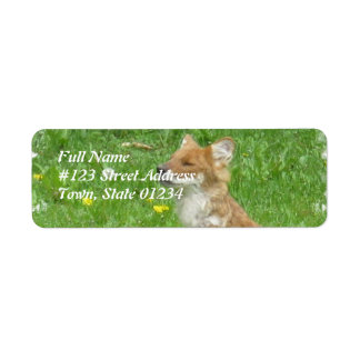 Red Fox Rücksendeadresse