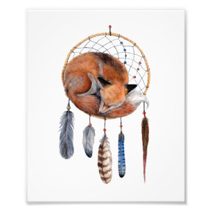 Red Fox Schlafen bei Dreamcatcher Kunst, Dichtung  Fotodruck