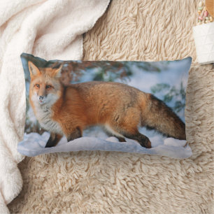 Red Fox   Schnee im Winter, Montana Lendenkissen