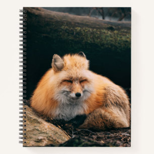 Red Fox Sleeping Notizbuch