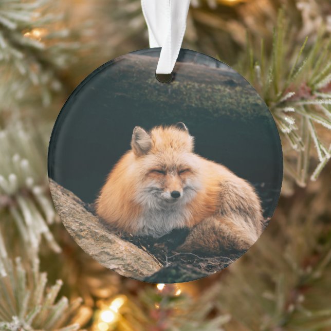 Red Fox Sleeping Ornament (Baum)
