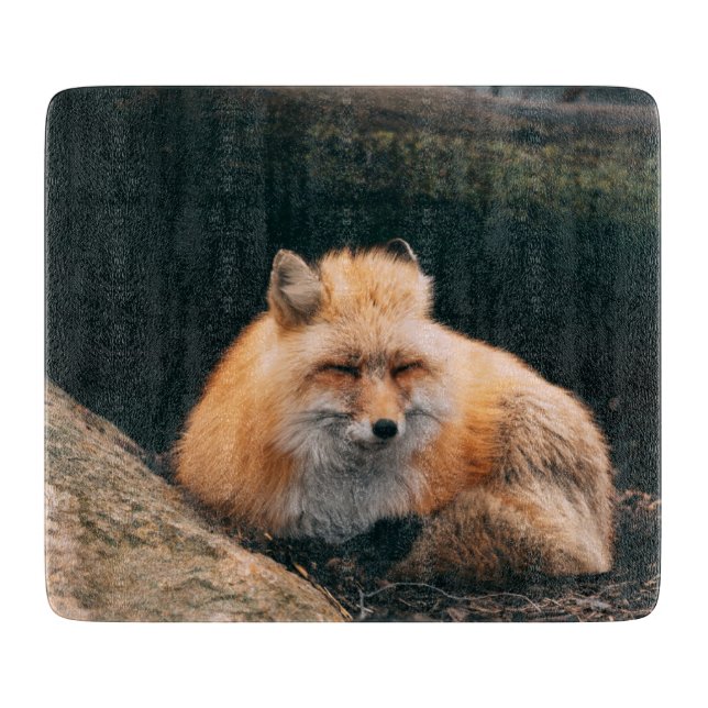 Red Fox Sleeping Schneidebrett (Vorderseite)