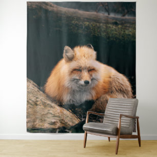 Red Fox Sleeping Wandteppich