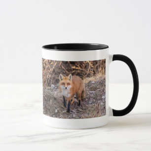 Red Fox up nah und persönlich Tasse
