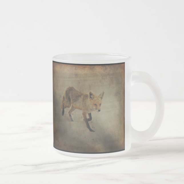 Red Fox Vixen - Island Beach Staat Park - NJ Mattglastasse (Rechts)
