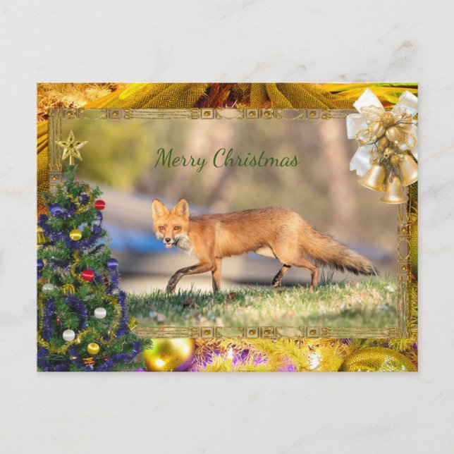 Red Fox Weihnachtskarte Feiertagspostkarte (Vorderseite)