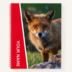 Red Fox Wildlife Animal Australia Notebook Notizbuch