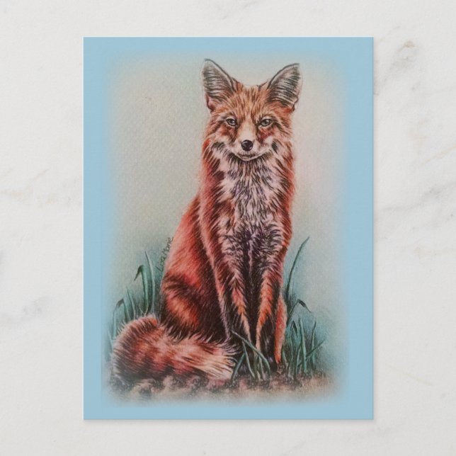 Red Fox Zeichnend Stift Postkarte (Vorderseite)