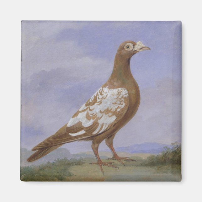 Red Fuss Carrier Pigeon Magnet (Vorne)