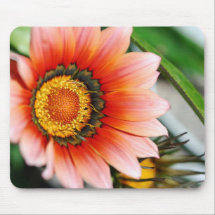 Red Gazania Mousepad