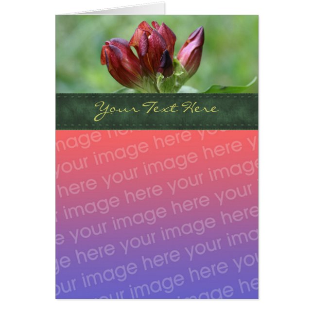 Red Gentian Blume Foto Card (Vorne)