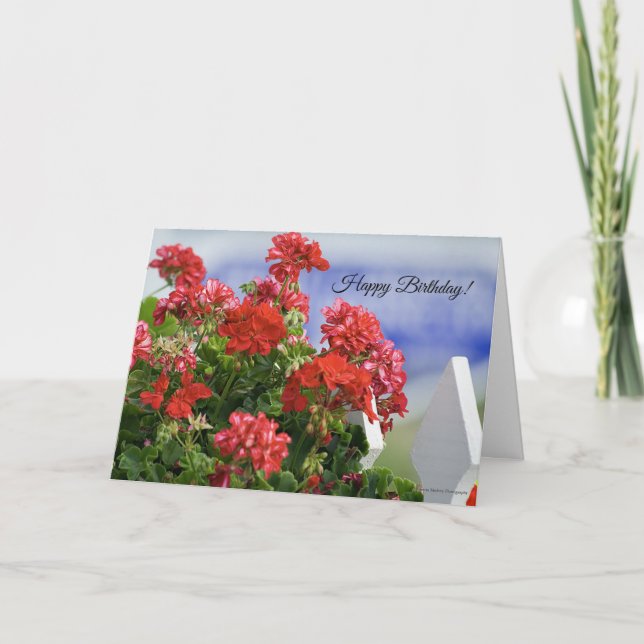 Red Geraniums Birthday Card Karte (Vorderseite)