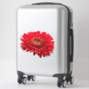 Red Gerbera Daisies nah-up-Fotografie Aufkleber