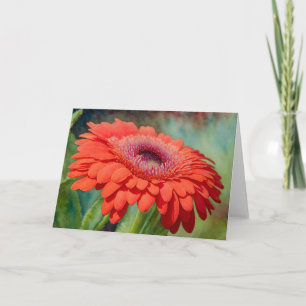 Red Gerbera Daisy Blume Art-Note-Karte Karte