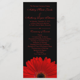 Red Gerbera Daisy Blume Black Wedding Program Programm