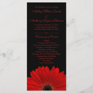 Red Gerbera Daisy Blume Black Wedding Program Programm