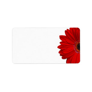 Red Gerbera Daisy Mariage Blank Étiquette de adres