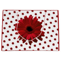 Red Gerbera Daisy Mother Day