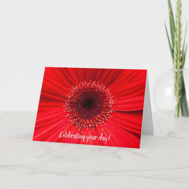 Red Gerbera Daisy zum Geburtstag Karte (Vorderseite)