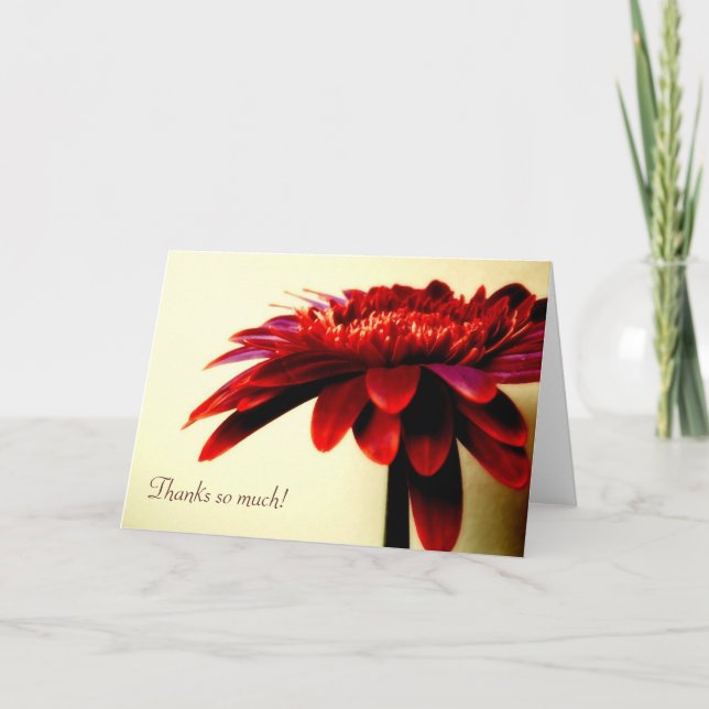 Red Gerbera Danke-Card Dankeskarte (Vorderseite)