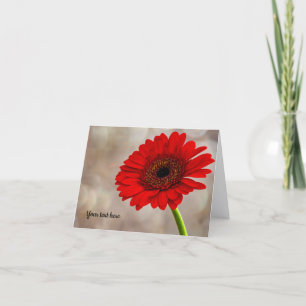 Red Gerbera Faltkarte Karte
