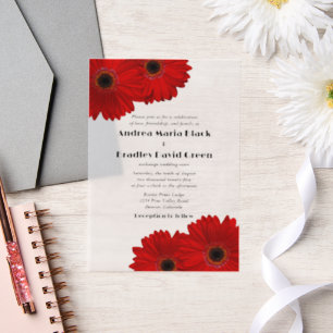 Red Gerbera Gerber Daisy Blume Wedding