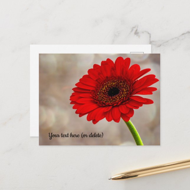 Red Gerbera Postcard Postkarte (Vorderseite/Rückseite Beispiel)