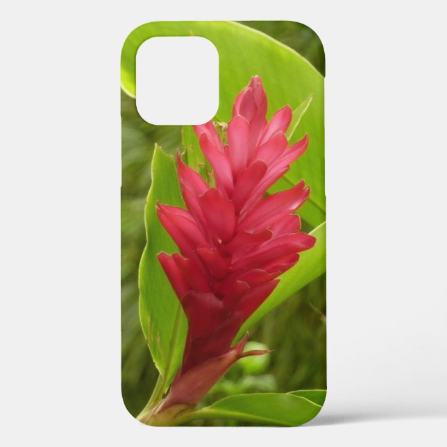 Red Ginger Blume (Alpinia) Tropical Case-Mate iPhone Hülle (Rückseite)
