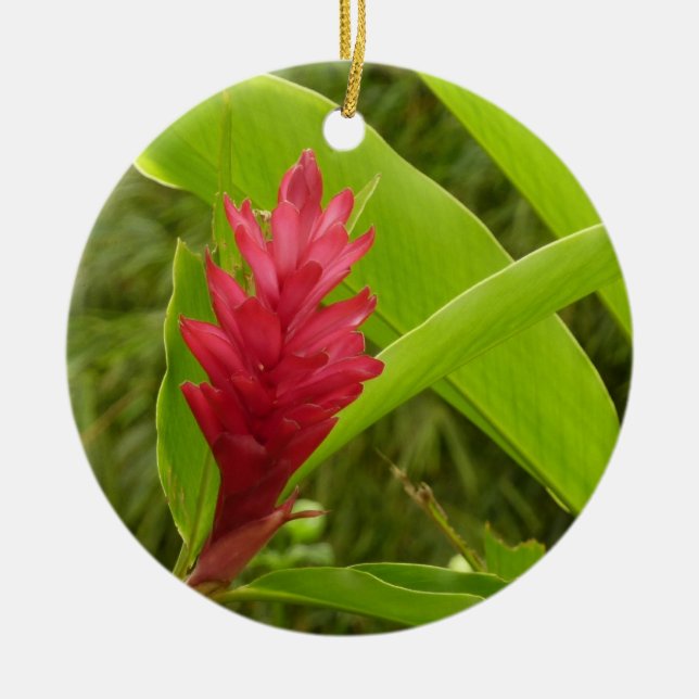 Red Ginger Blume (Alpinia) Tropical Keramik Ornament (Vorne)