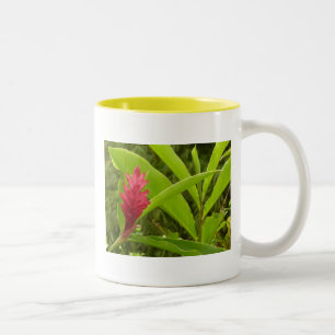 Red Ginger Blume (Alpinia) Tropical Zweifarbige Tasse