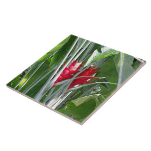 Red Ginger Fliese
