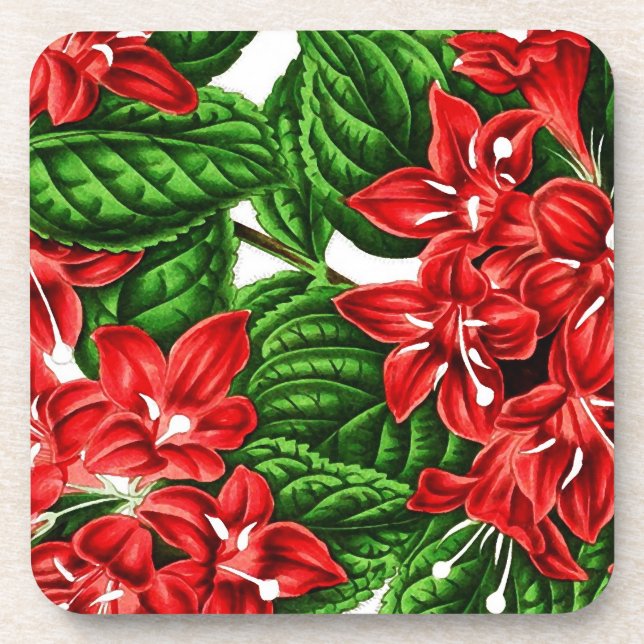 Red ginger flowers, vintage print getränkeuntersetzer (Vorderseite)