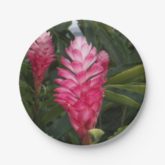 Red Ginger Paper Plate Pappteller