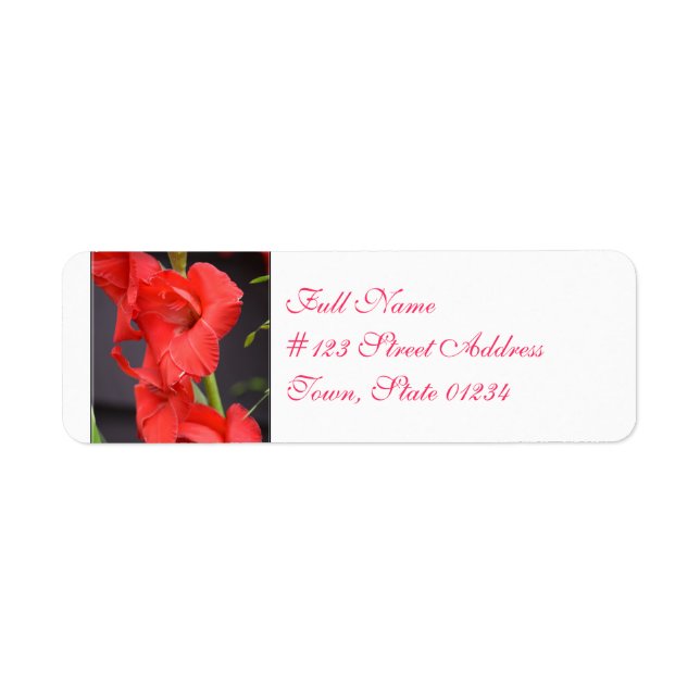 Red Gladiola Blume (Vorne)