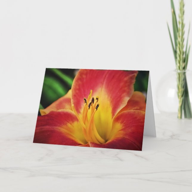 Red Gold Lilie Blume Karte (Vorderseite)